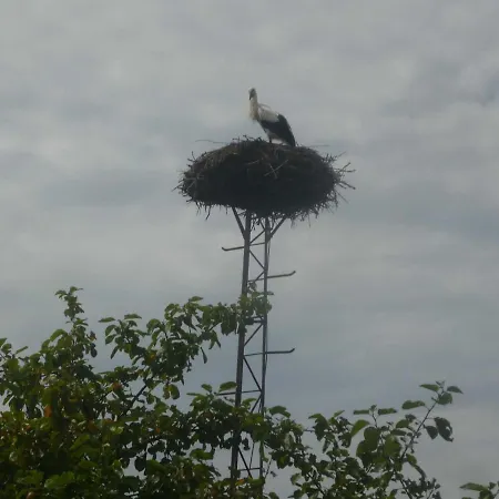 Neu! Storchennest Eg Lejlighed