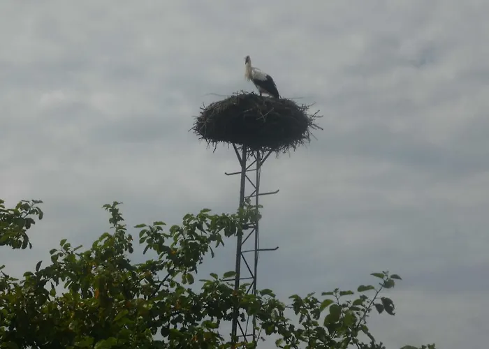 Neu! Storchennest Eg アパート